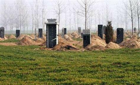 坟上不长草后代必出,第11张 坟上不长草后代必出,第11张